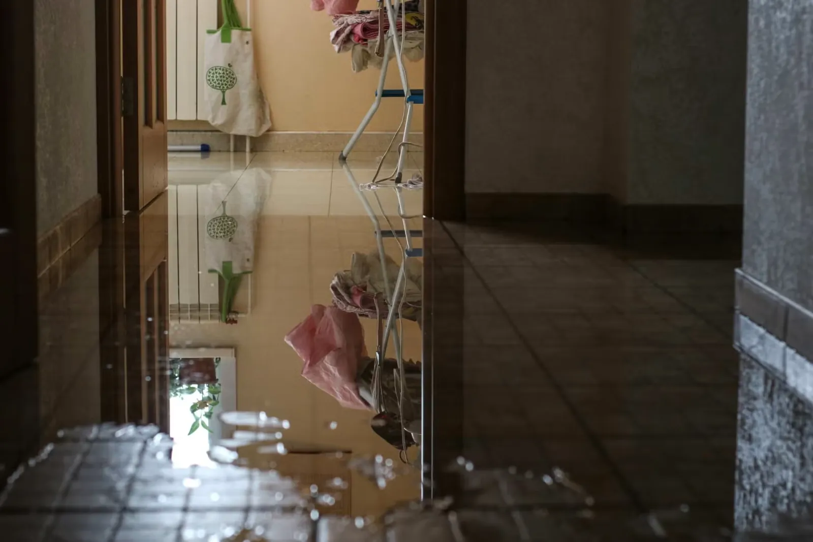 What Does Your Damage Look Like? What Can or Can’t Be Covered in Your Insurance Policy